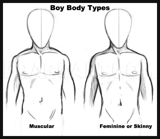 anime male body structure