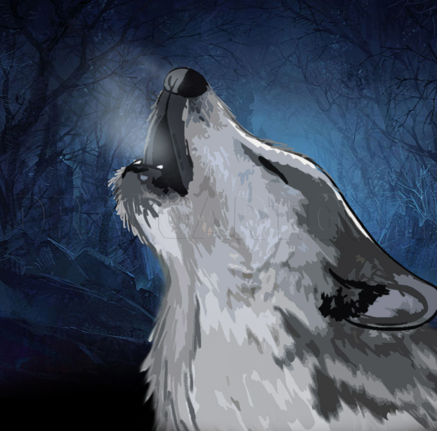 How To Draw A Howling Wolf Step By Step Drawing Guide By Dawn Dragoart Com