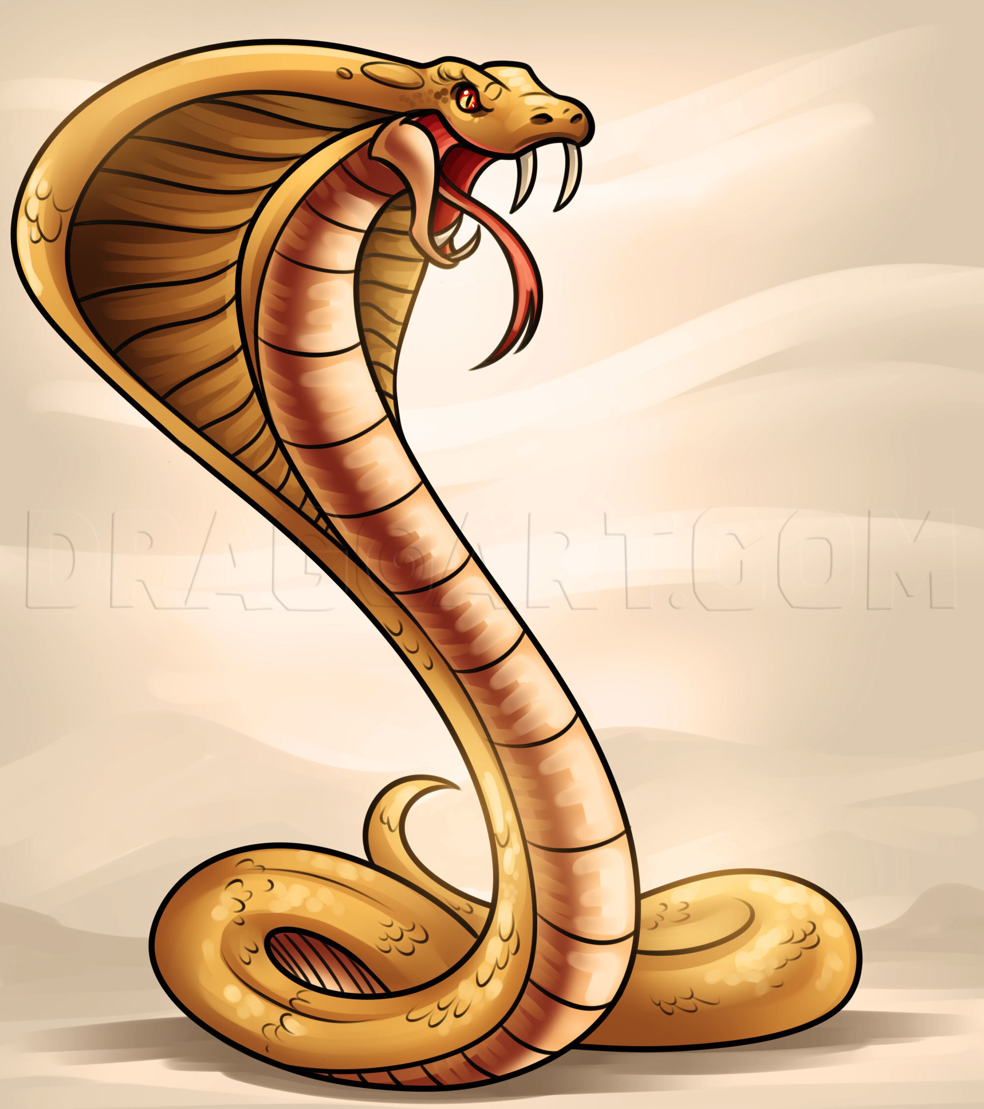 How To Draw A Cobra, Step by Step, Drawing Guide, by Dawn DragoArt