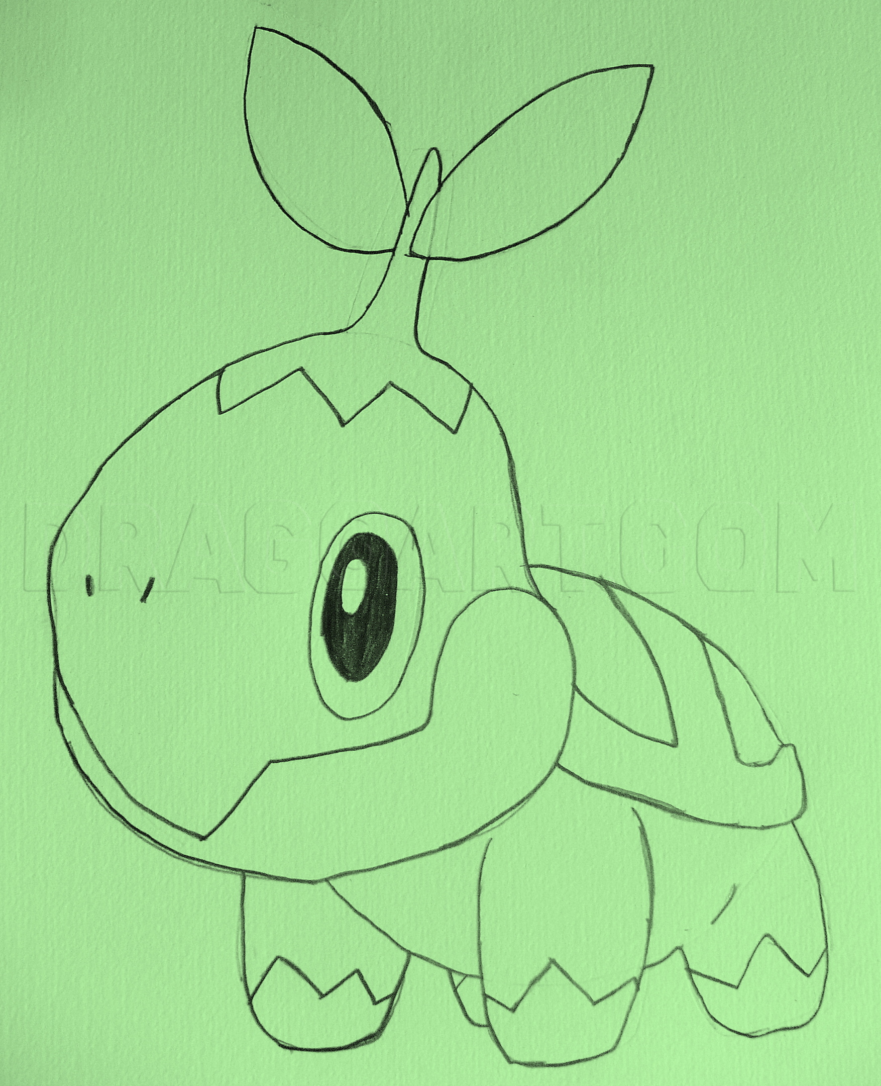 How To Draw Turtwig
