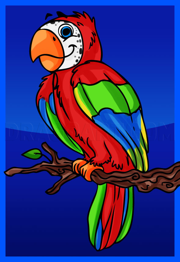 How To Draw A Cartoon Parrot, Step by Step, Drawing Guide, by Dawn