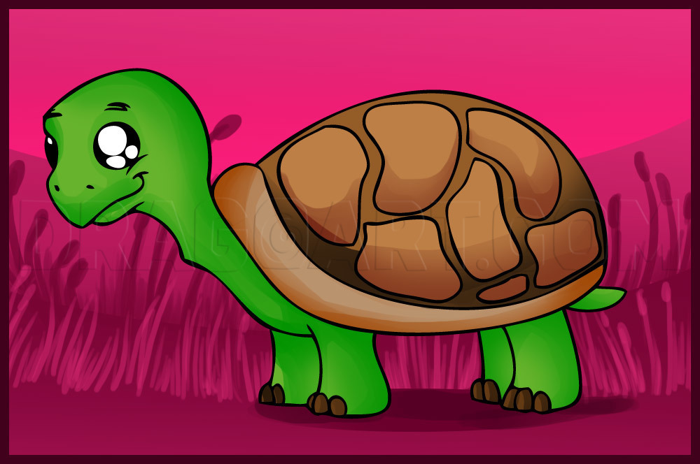 turtle drawing easy cartoon