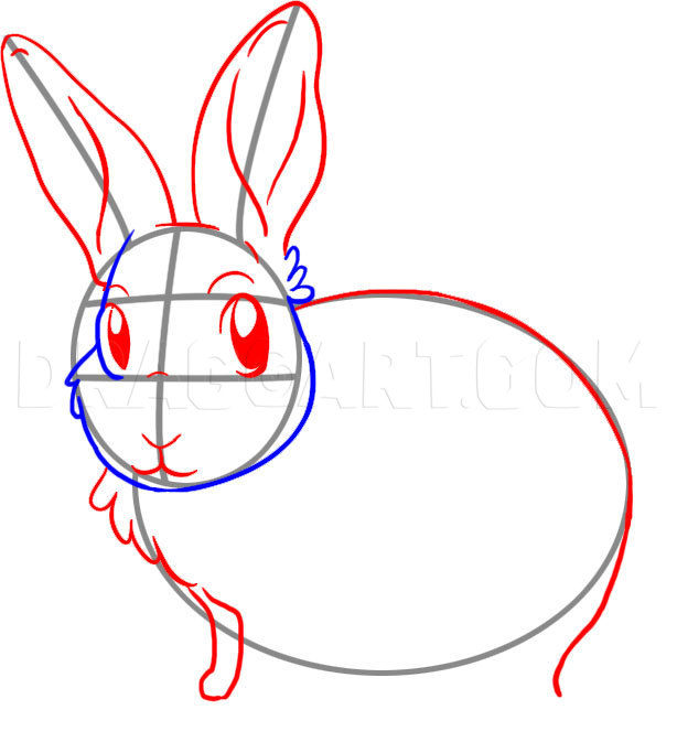 how to draw bunny ears step by step