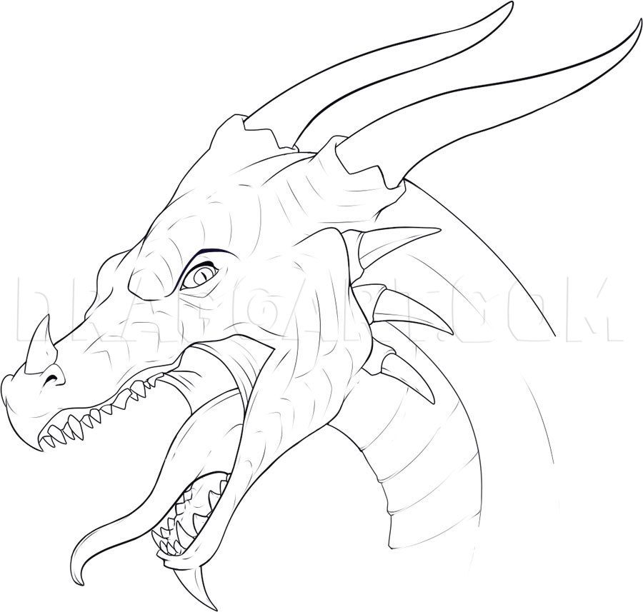 drawing of a dragon head