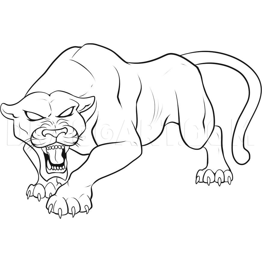 simple panther drawing