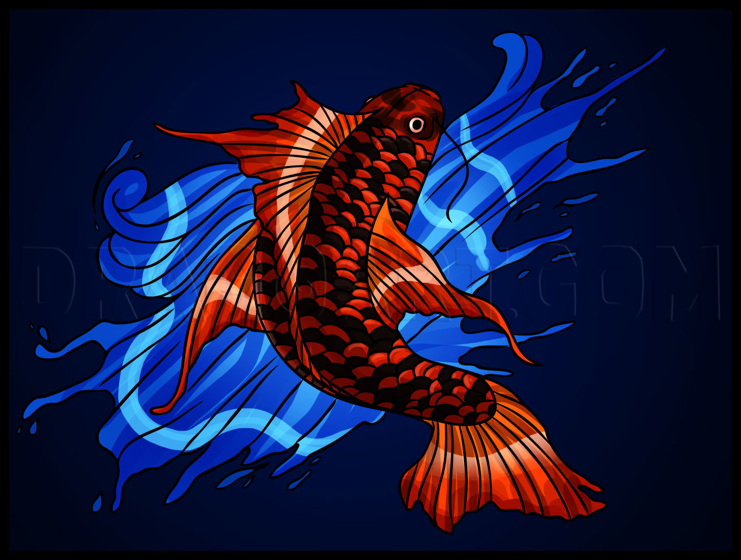 koi fish drawing color