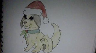 Christmas Dog