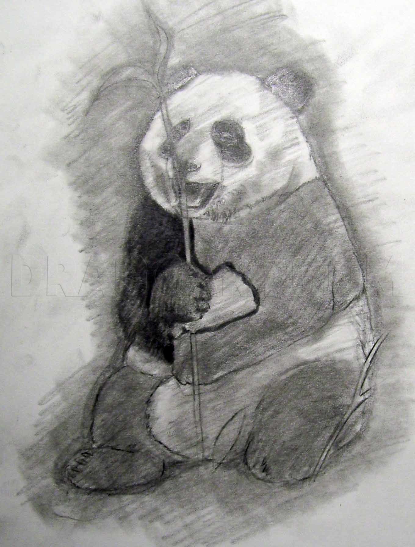 How To Draw A Realistic Panda Draw Real Panda Step By Step Drawing Guide By Finalprodigy Dragoart Com