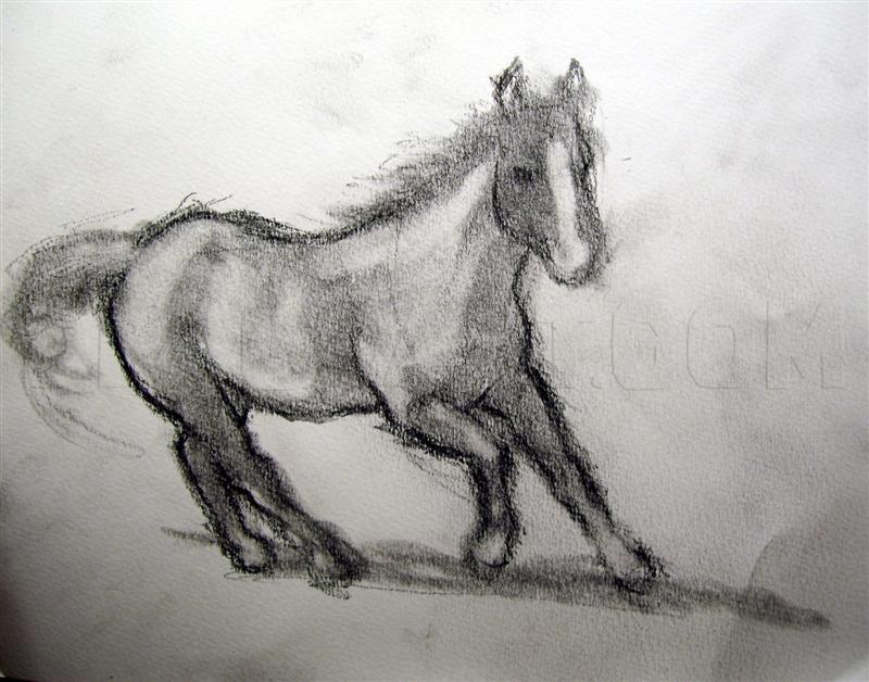 How To Draw A Realistic Horse, Draw Real Horse by finalprodigy