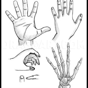 How To Draw Anime Hands, Step by Step, Drawing Guide, by Dawn