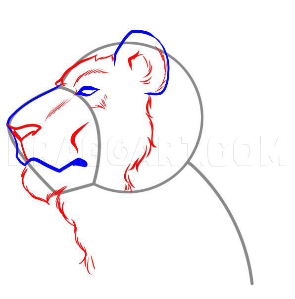 how to draw lion head step by step