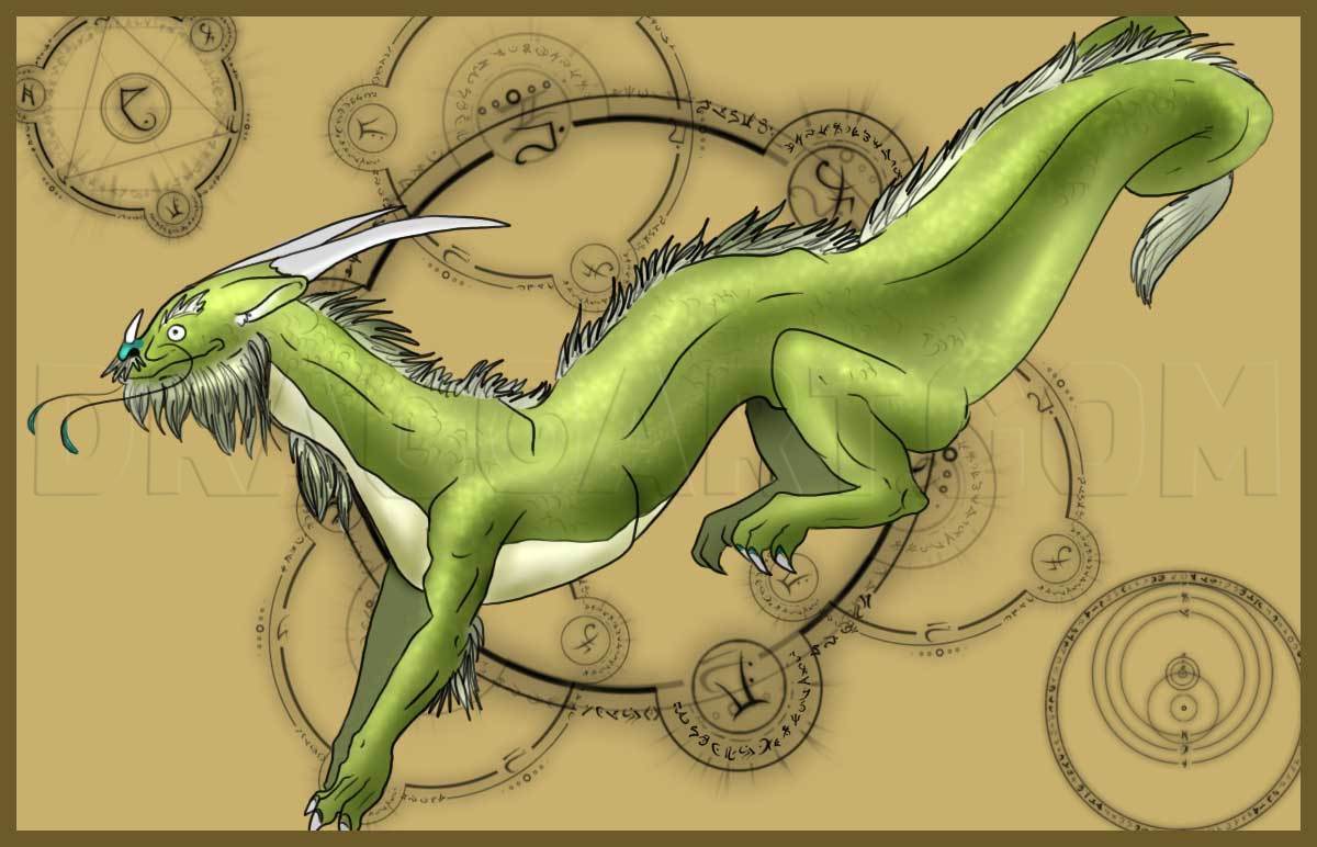 How to Draw A Lizard Dragon