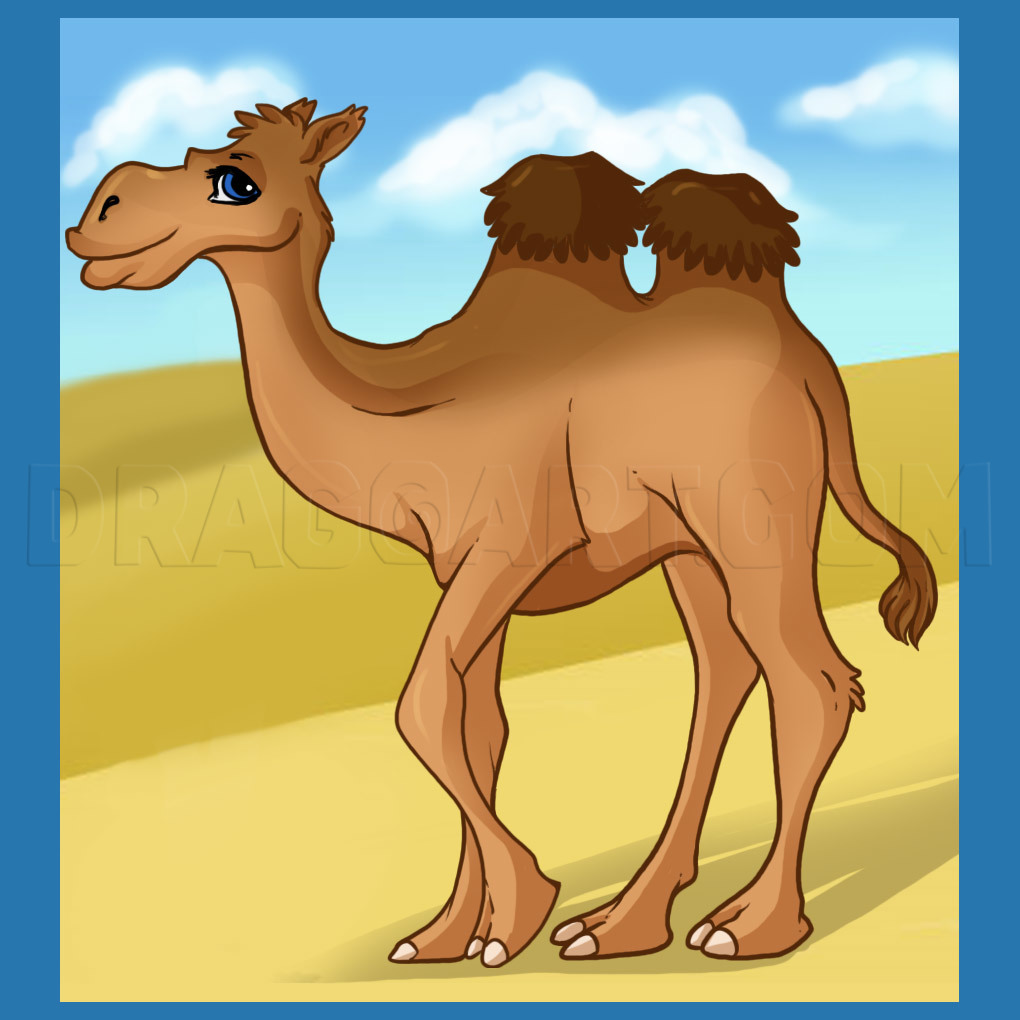 Featured image of post Simple Cartoon Camel Drawing / Millions customers found cartoon camel templates &amp;image for graphic design on pikbest.