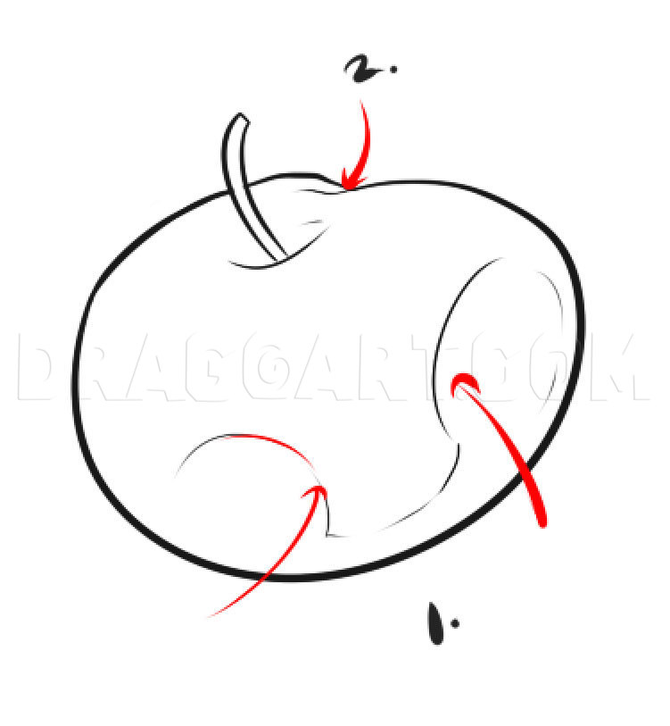 How To Draw Apples, Step by Step, Drawing Guide, by Dawn | dragoart.com