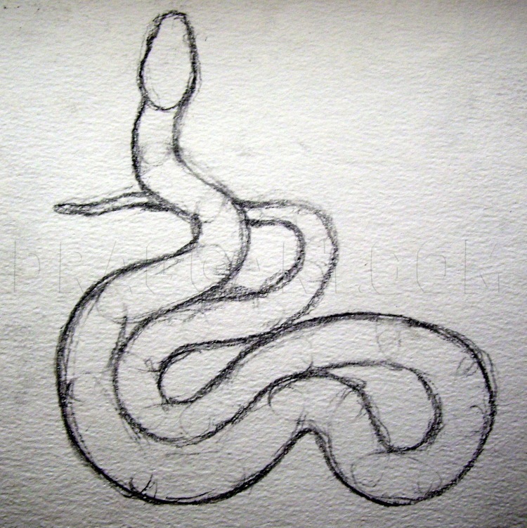 Featured image of post Snake Head Realistic Pencil Snake Drawing You can edit any of drawings via our online image editor before downloading