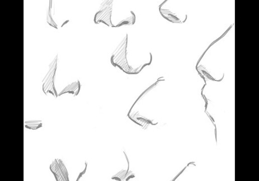 Featured image of post How To Draw A Nose For Kids : Use the icon in the top right to enlarge the image.