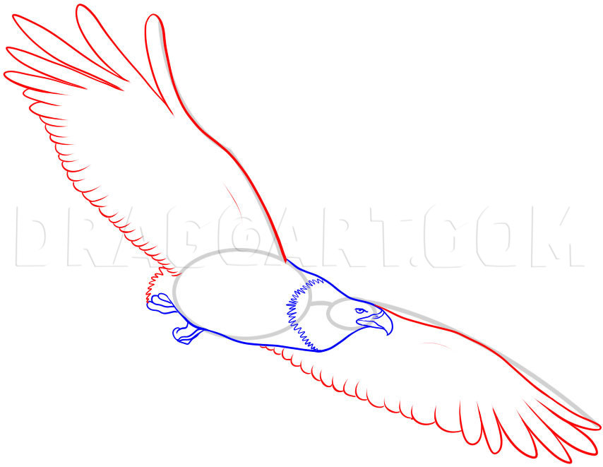 how to draw a eagle feather step by step