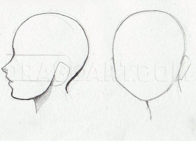 Featured image of post Anime Head Side View Tutorial