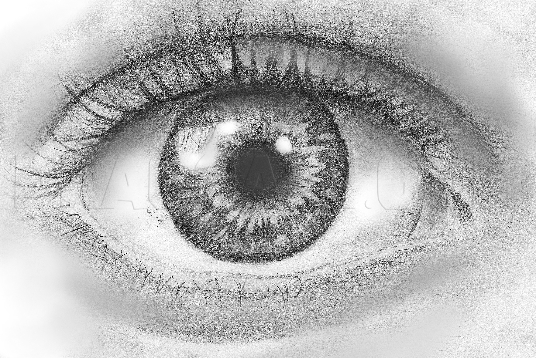 eye drawing pencil