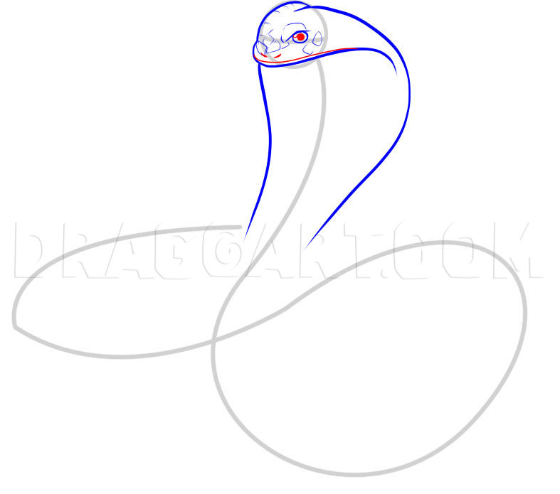 King Cobra Coloring Page, Free King Cobra Online Coloring