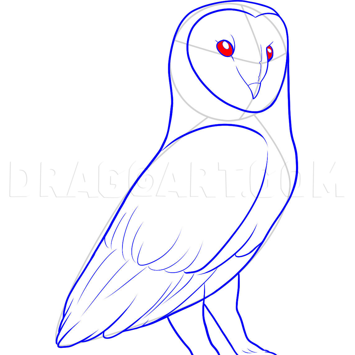 How To Draw A Barn Owl, Step by Step, Drawing Guide, by Dawn - DragoArt