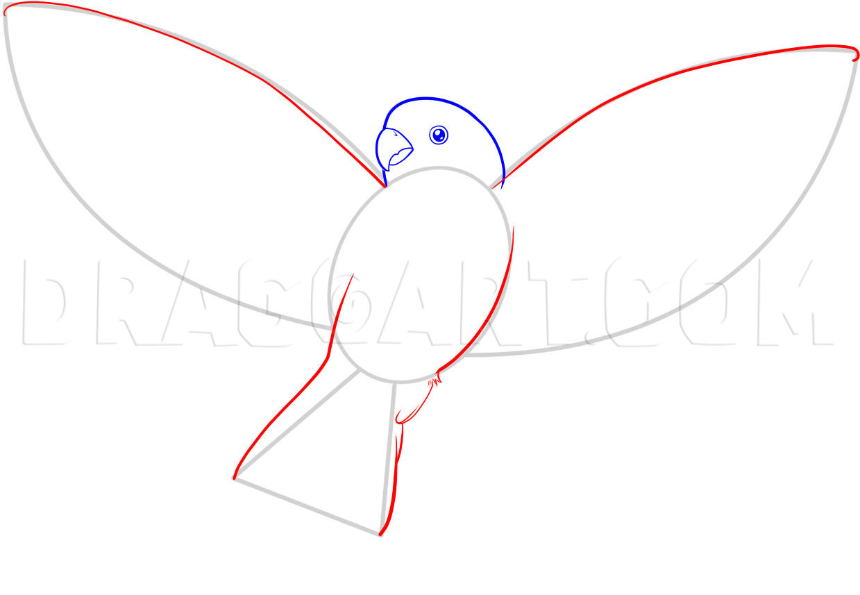 How to Draw a Flying Bird, How to Draw a Bird, Coloring Page, Trace Drawing