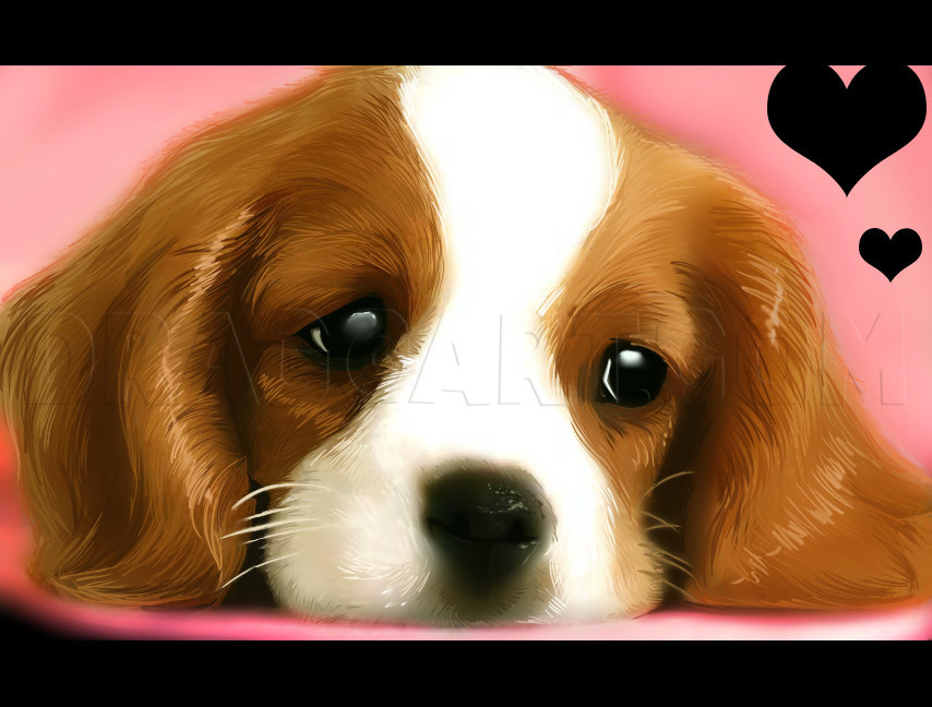 cute dog drawing