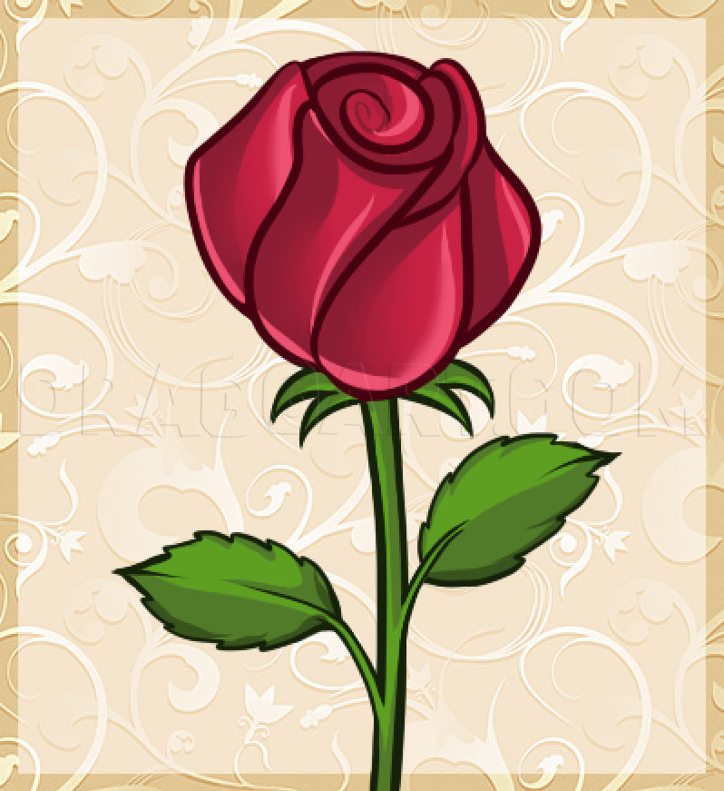 beautiful drawings of roses