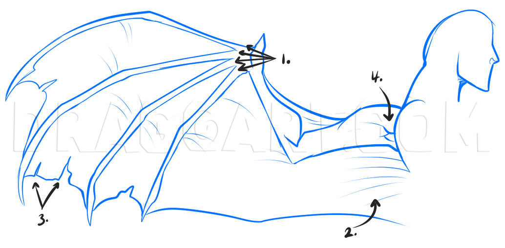 How to Draw Demon Wings 