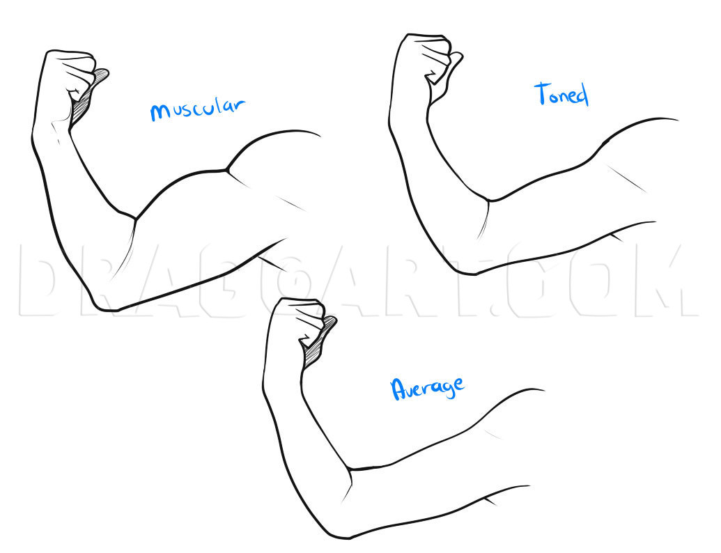 arm muscle coloring page