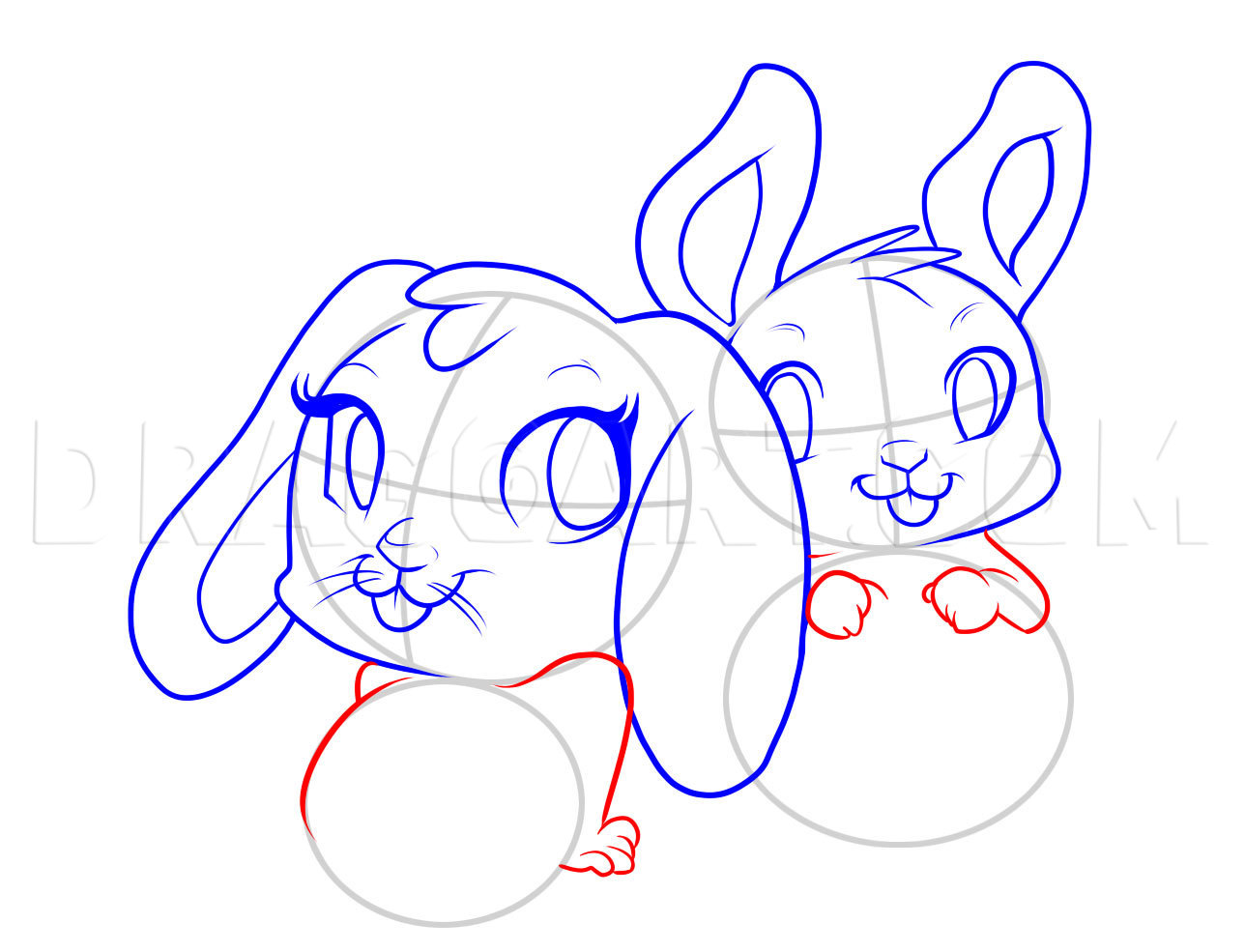 How To Draw Easter Bunnies, Step by Step, Drawing Guide, by Dawn - DragoArt