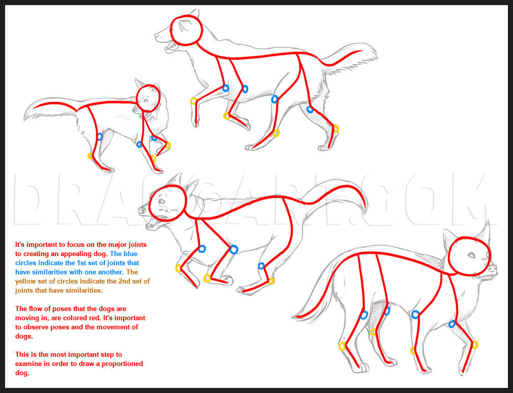 How To Draw A Dog Step By Step Drawing Guide By Dawn Dragoart Com