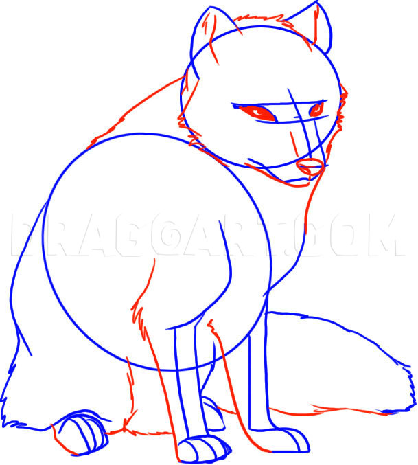 how to draw a arctic fox step by step