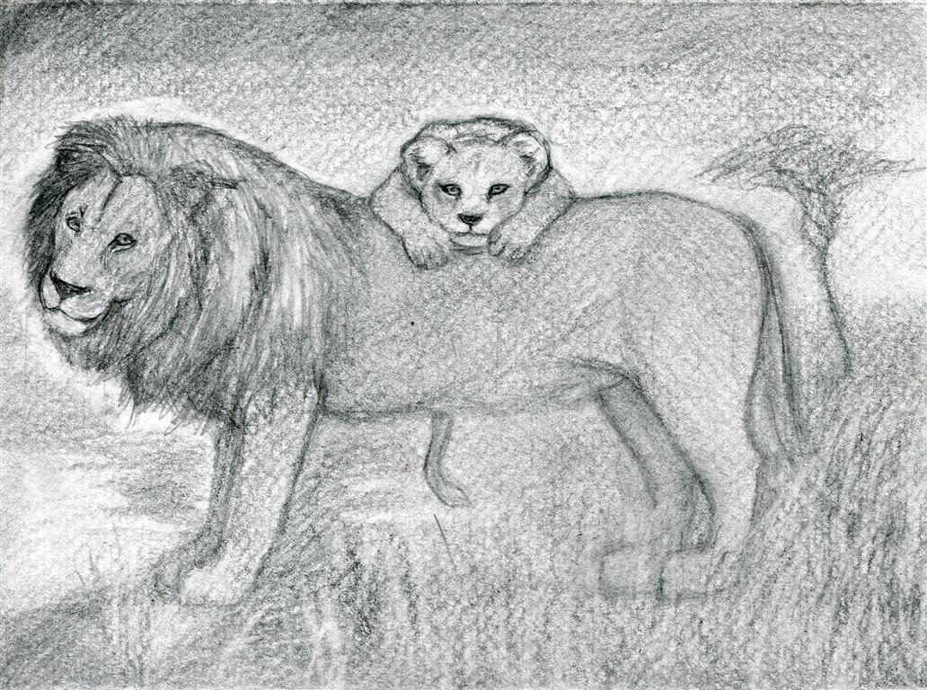 How To Draw Realistic Lions, Draw Real Lions, Step by Step, Drawing