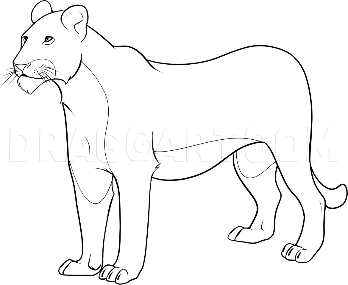 Lioness Coloring Page