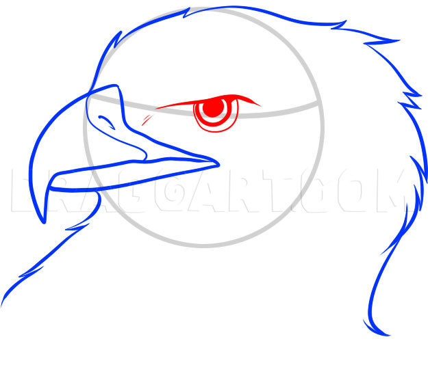 how to draw an eagle eye