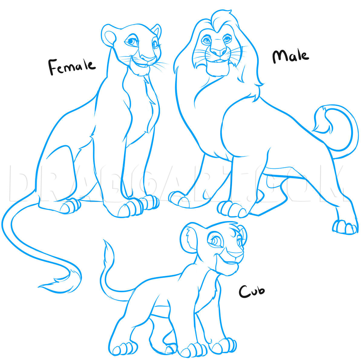 How To Draw A Lion King Lion, Lion King Lions, Step by Step, Drawing