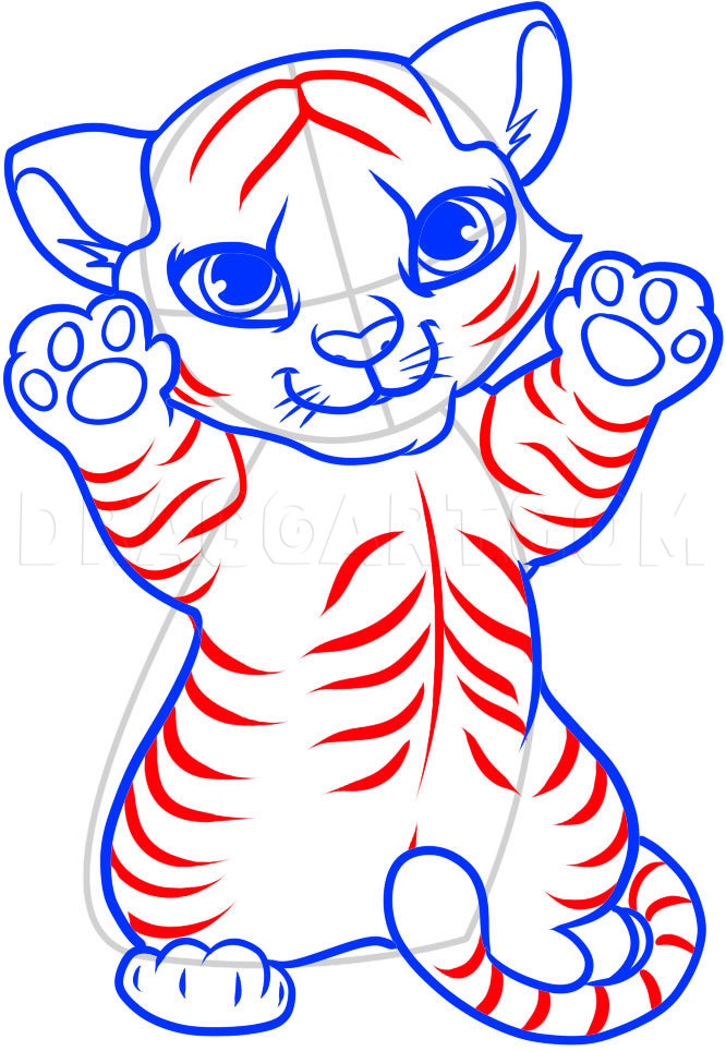 How To Draw A Tiger Cub, Tiger Cub, Step by Step, Drawing Guide, by