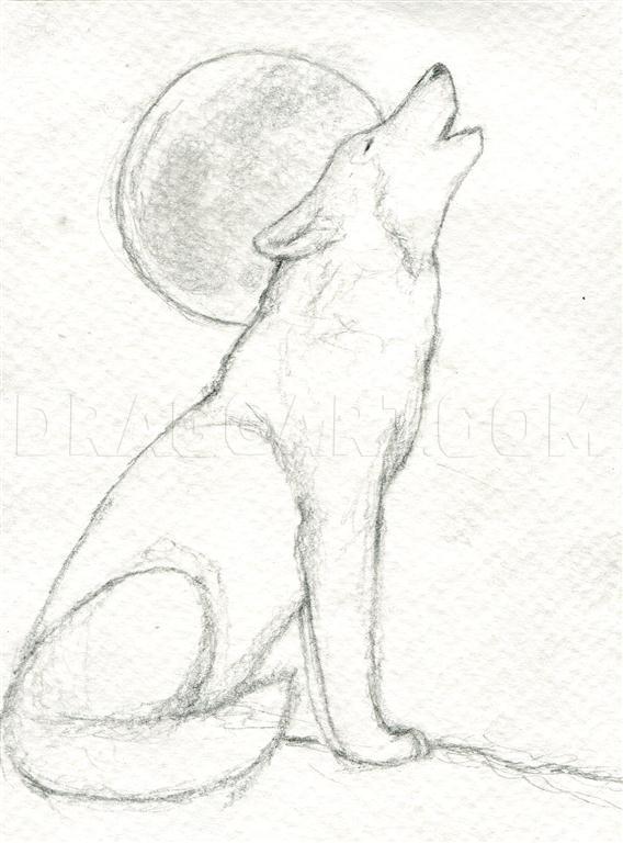 drawings of wolves howling at the moon in pencil