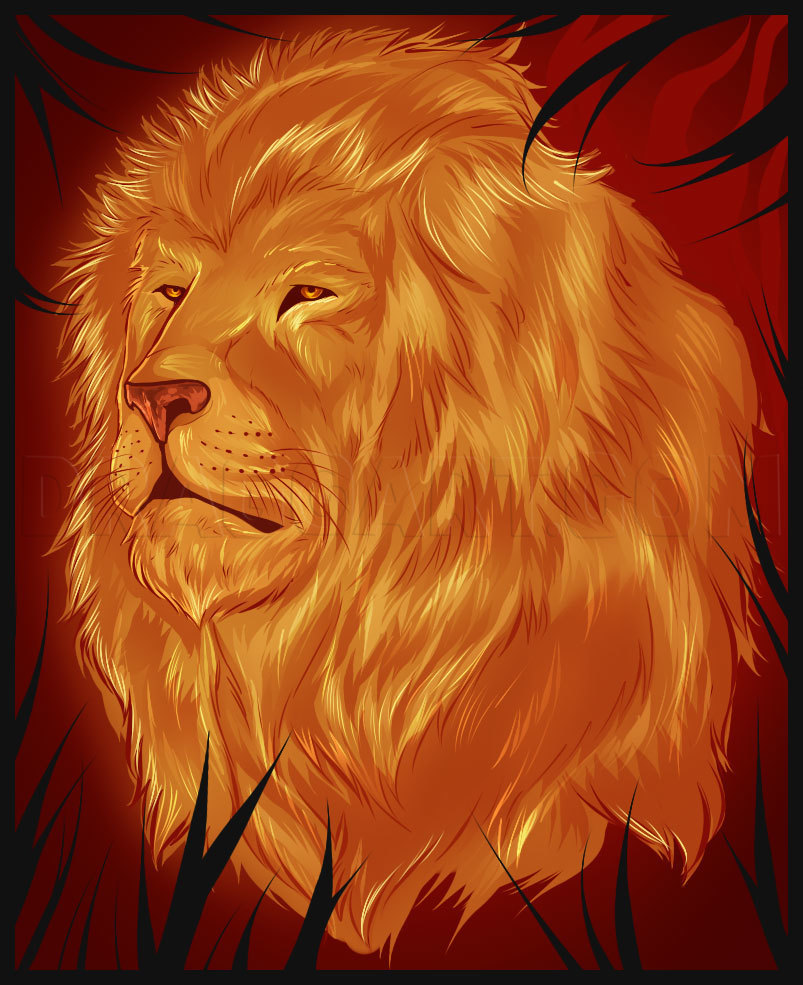 lion roaring drawing in color