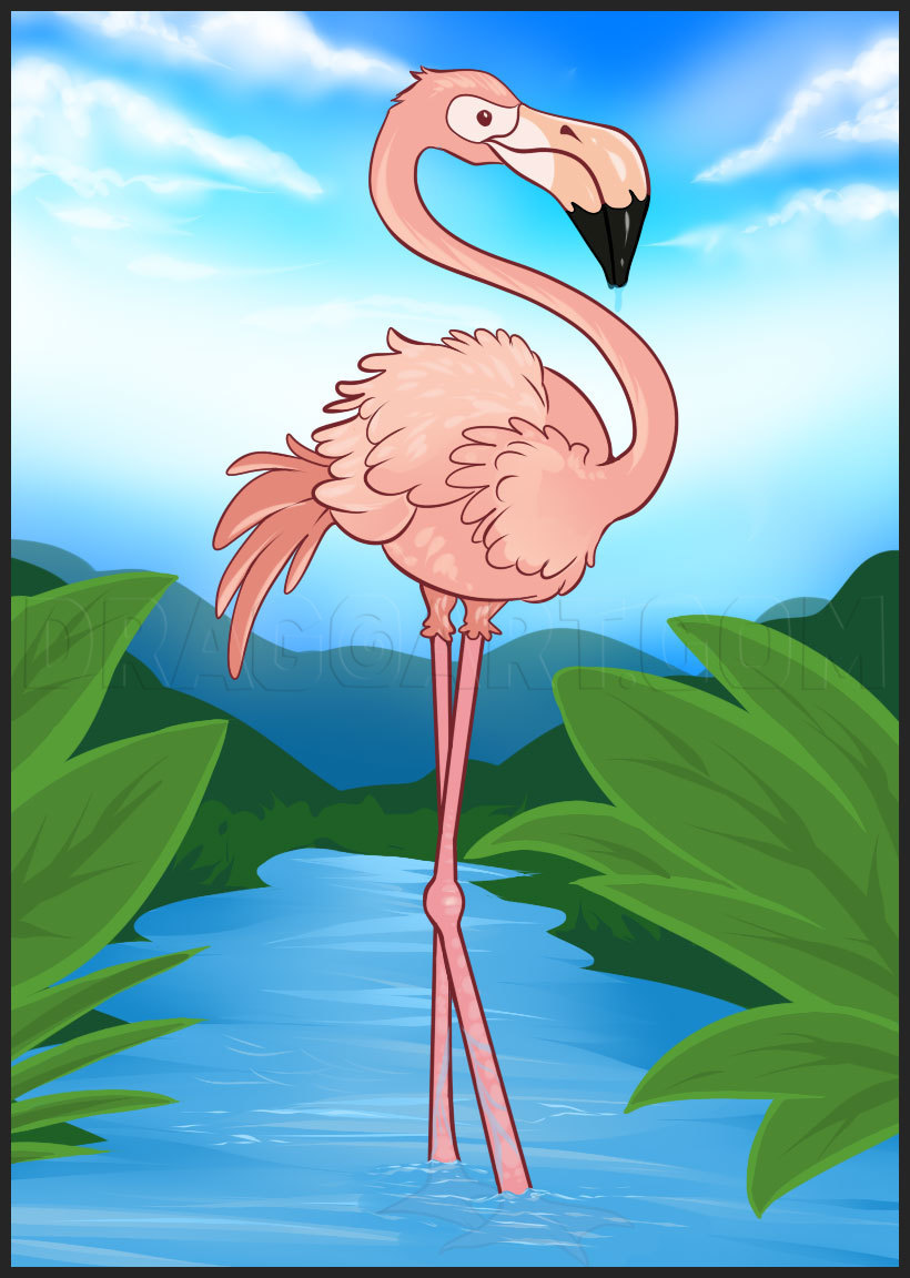 flamingo drawing