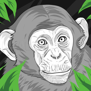 How To Draw A Realistic Monkey Draw Real Monkey Step By Step Drawing Guide By Dawn Dragoart Com