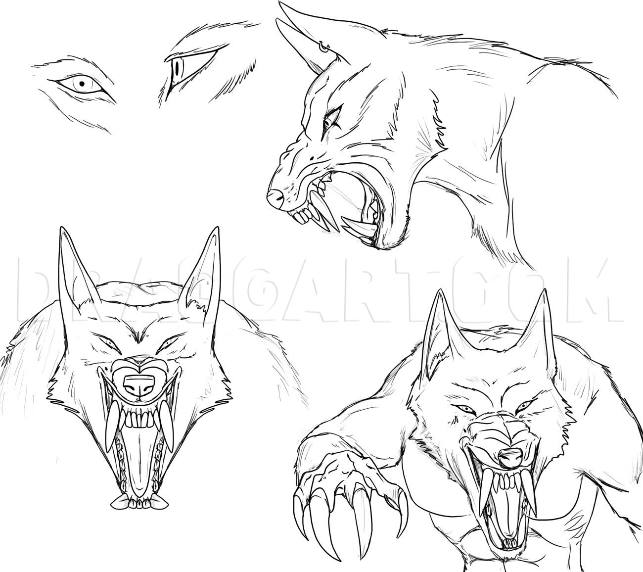 How to Draw a Werewolf Face, Head, Eyes, Coloring Page, Trace Drawing