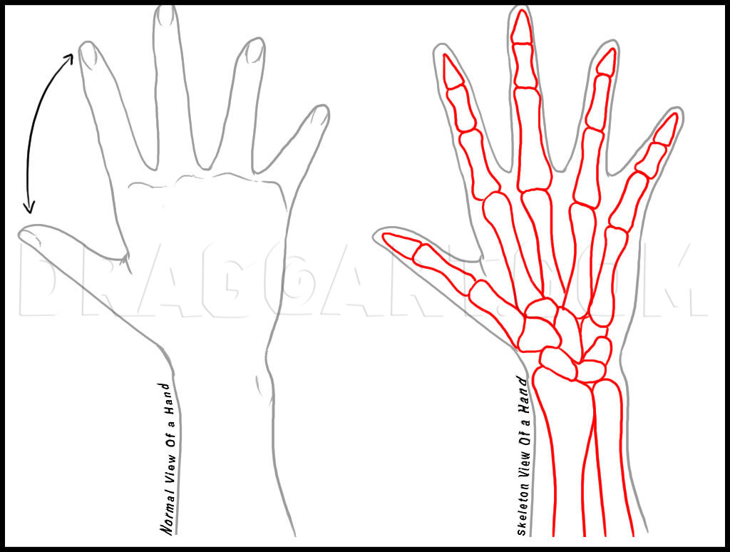 how to draw anime hands step by step for beginners