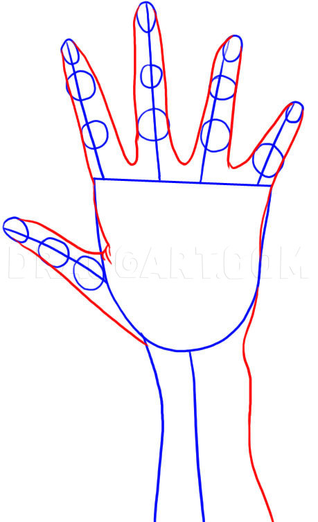 How to Draw Anime Hands