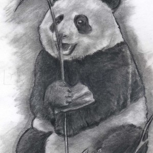 How to Draw a Realistic Panda, Draw Real Panda, Step by Step, Realistic,  Drawing Technique, FREE Online Drawing Tuto…