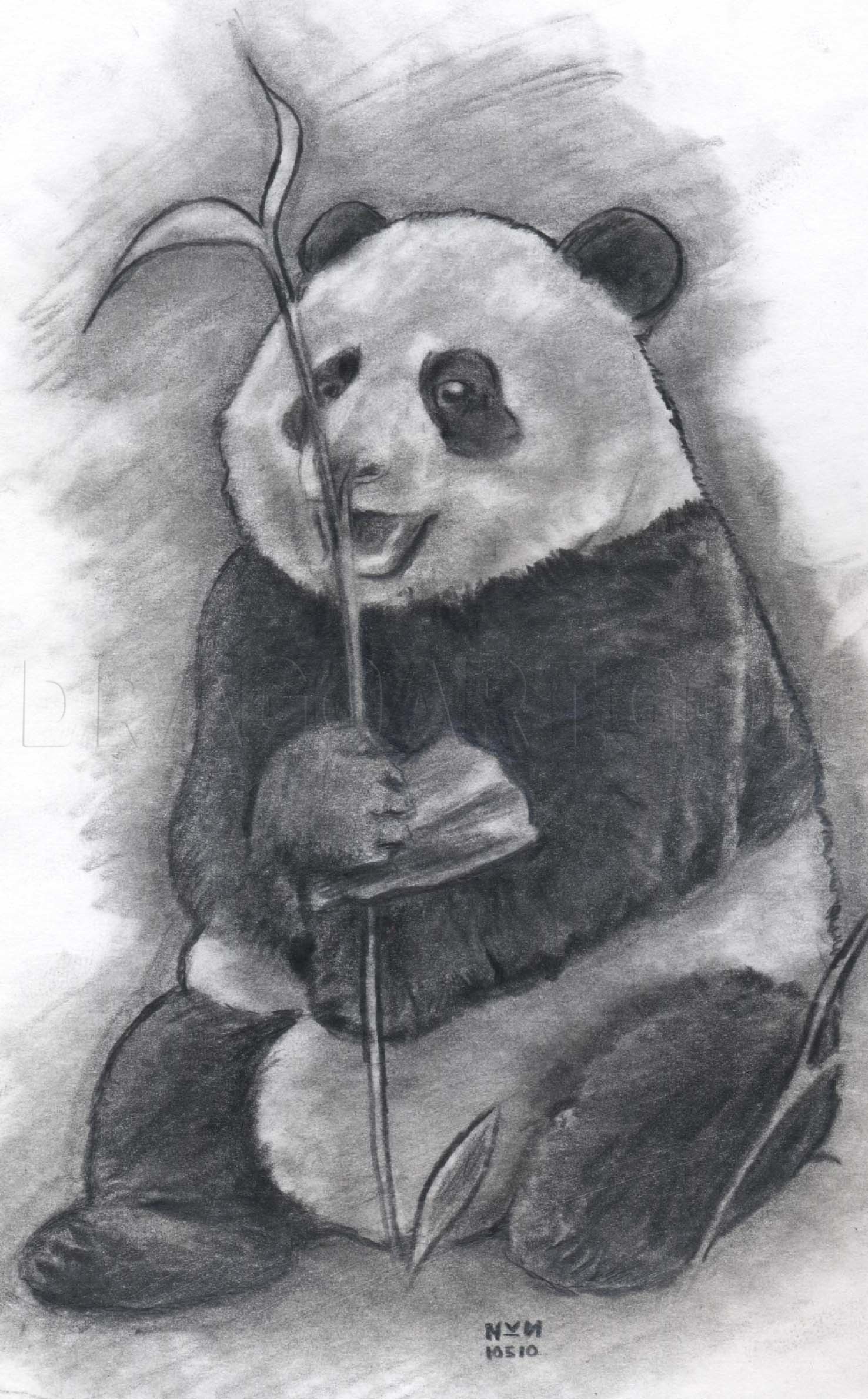 how to draw a realistic baby panda step by step