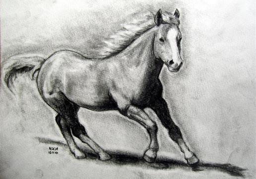 Featured image of post Sketch Domestic Animals Drawing / Here presented 47+ domestic animals drawing pictures images for free to download, print or share.