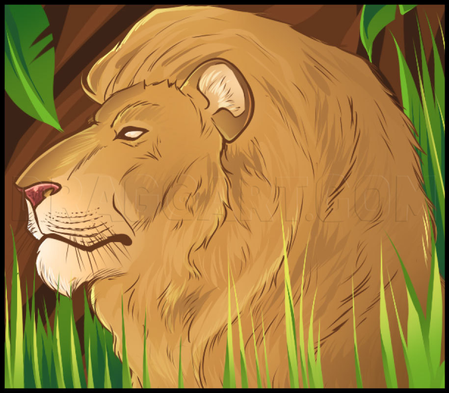 simple lion head drawing