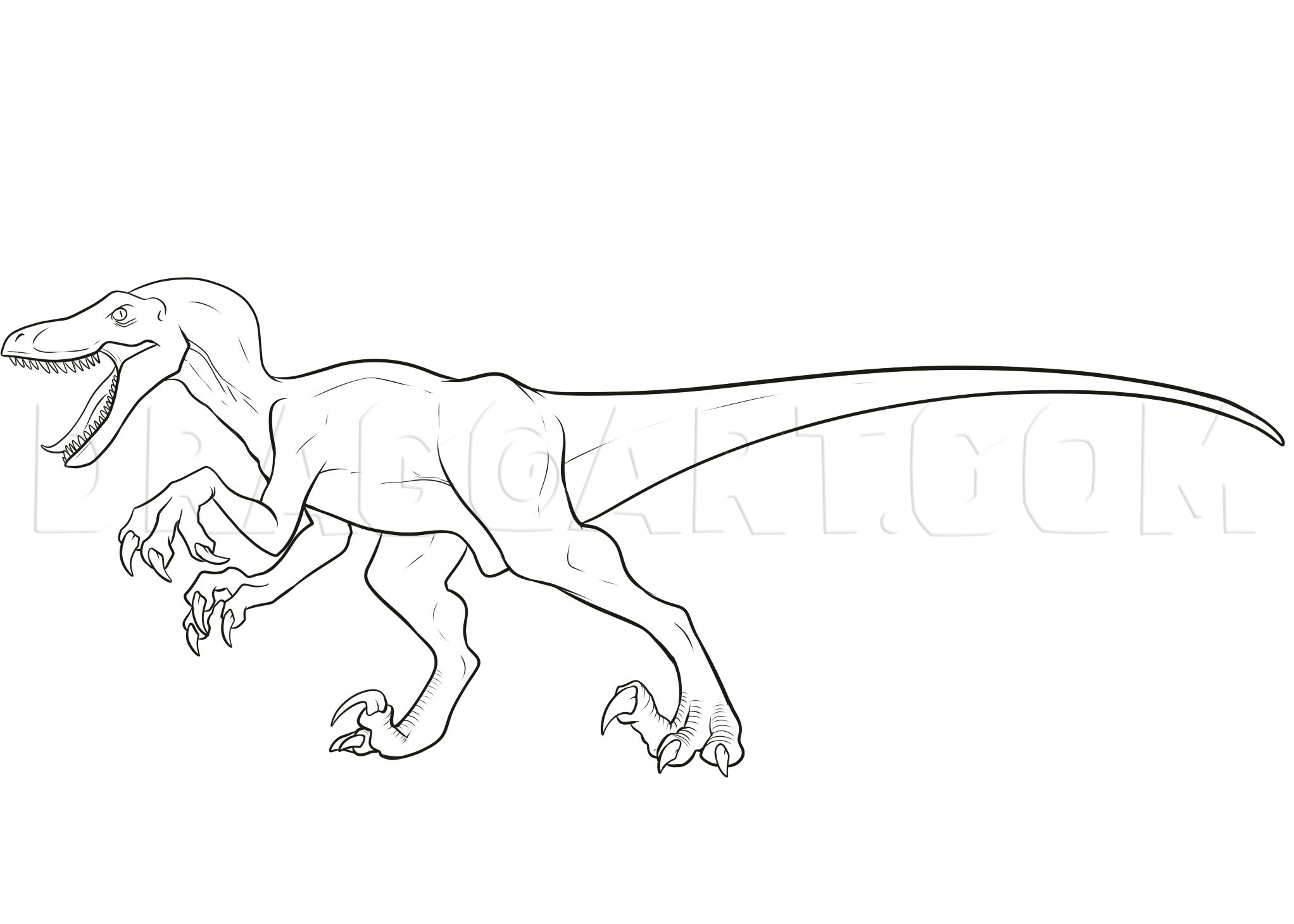 How To Draw A Velociraptor Dinosaur Printable Step By Step